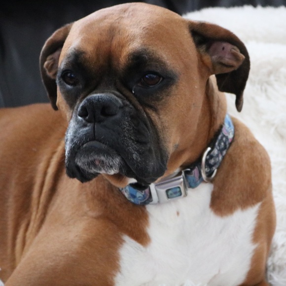 Meet your Posher, Scott - Picture 1 of 1